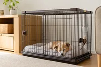 犬を長時間ケージで留守番させるときの安全なやり方 - 時間の目安と環境づくりのコツ