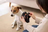 犬がハーネスを嫌がる原因と対策｜段階的な慣らし方と環境改善のコツ